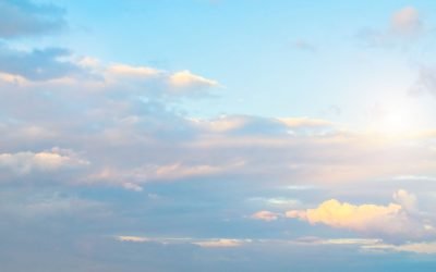 What Is Your Favourite DBT Skill and Why? Insights from the Clinicians at Toronto Psychology and Wellness Group